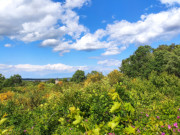 Usedomer Hinterland: Blick ber Benz zum Schmollensee.