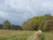 Wiesen und Weiden auf dem Lieper Winkel: Wanderungen auf Usedom.