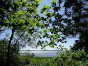 Zwischen Ltow und Mwenort: Durchblick auf das Achterwasser.