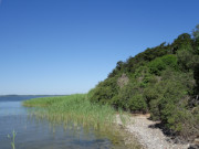 Sdspitze der Usedomer Halbinsel Gnitz: Am Weien Berg.