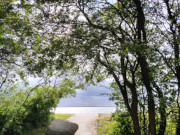 Durchblick zum Achterwasser: Strand am Konker Berg.