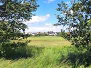 Bernsteinbad ckeritz auf Usedom: Wiesen am Achterwasser.