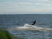 Kehre vor dem Schilfgrtel: Kiter auf dem Achterwasser.