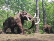 Bis zu 15 Tonnen schwer: Mammut-Nachbildung im "Eiszeitpark".