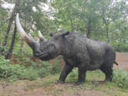 Wollhaarnashorn: Lebensgroe Figuren im "Eiszeitpark".