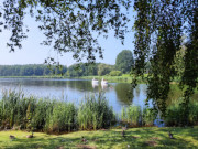 Tretboote auf dem malerischen Kölpinsee: Urlaub auf Usedom.