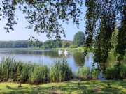 Tretboote auf dem malerischen Klpinsee: Urlaub auf Usedom.