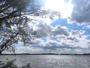 Eisvgel und Seeadler: Am Achterwasser bei Neppermin.