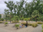 Palmengarten: Palmen, Oliven- und Feigenbume an der Strandpromenade.