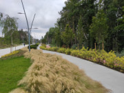 Gestaltung der Strandpromenade Swinemnde: Fuweg, Skaterbahn und Radweg.