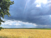 Gerstenfeld am Achterwasser: Zwischen den Seebdern Zinnowitz und Zempin.