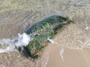 Ostseestrand zwischen Subbenfelde und ckeritz: Stein am Splsaum.