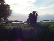 Campen auf Usedom: Zeltplatz Stangie am Achterwasser.