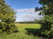 Wiesen und Wald: Landschaft am Achterwasser stlich von Loddin.