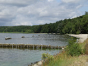 Blick von Kamminke nach Westen: Sandstrand am Stettiner Haff.