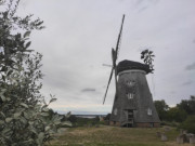 Holländerwindmühle auf Usedom: Auf dem Mühlenberg bei Benz.