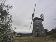 Hollnderwindmhle auf Usedom: Auf dem Mhlenberg bei Benz.