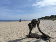 Improvisierte Skulptur am Ostseestrand: Urlaub auf Usedom.