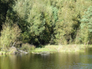 Im Sonnenschein: Mmmelkensee zwischen Bansin und ckeritz.