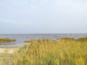 Usedomer Halbinsel Peenemnder Haken: Erste Herbstfarben an der Ostsee.