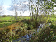 Farben des Herbstes: Meliorationsgraben im Usedomer Thurbruch.