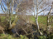 Thurbruch im Hinterland der Insel Usedom: Entwsserung einer Moorlandschaft.