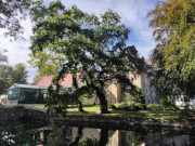 Brauerei im Wintergarten: Wasserschloss von Mellenthin.