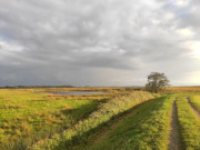 Auf dem Deichweg am Achterwasser: Zwischen ckeritz und Loddin.