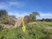 "Ende der Welt": Einsamer Hof Balitz auf dem Lieper Winkel.