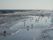 Ostsee bei ckeritz: Am Strand der Insel Usedom wird es ruhiger.