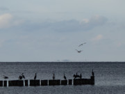 Wie eine Fata Morgana: Usedomer Nachbarinsel Greifswalder Oie.