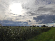 Landschaft bei Stagnie: Meliorationsgrben am Achterwasser.