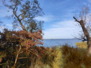 Herbstfarben am Achterwasser: Am Hafen von Warthe.