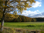 Weide am Schmollensee bei Sellin: Usedomer Hinterland im Herbst.