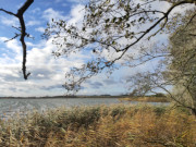 Auf dem sdlichen Damm in den Gothensee: Hinterland der Insel Usedom.