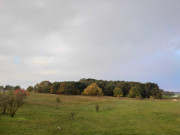 Herbstfarben auf Usedom: Novembertag auf dem Loddiner Hft.