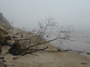 Novembertag am Ostseestrand von Usedom: Am Langen Berg bei Bansin.