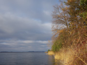 Weier Berg: Steilkste der Halbinsel Gnitz am Peenestrom.