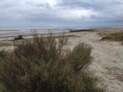 "Wattenmeer" auf Usedom: Ostseeksten des Peenemnder Hakens.