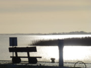 Blick herber zur Halbinsel Gnitz: Einsames Idyll am Zinnowitzer Hafen.