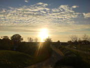 Weg herab zum Achterwasserhafen des Usedomer Seebades Loddin.