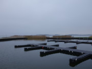 Vllige Winterruhe: Kein Boot, kein Besucher am hafen von ckeritz.