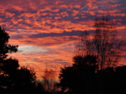 Wunderbares Farbspiel: Sonnenaufgang an den Steinbock-Ferienwohnungen.