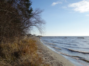 Schmaler Sandstrand am Stettiner Haff: Kamminke im Sdosten Usedoms.