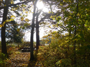 Herbstfarben: Rastplatz am Ufer des Klpinsees.