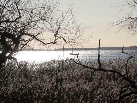 Zauberhafte Stimmung: Ein Fischerboot nahe der Usedomer Halbinsel Gnitz.