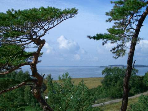 Blick von der Steilkste bei Stagnie, einem Achterwasserhafen bei ckeritz.