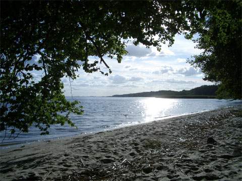 Strand im Sden: ein langer Sandstrand erstreckt sich von Kamminke in westliche Richtung.