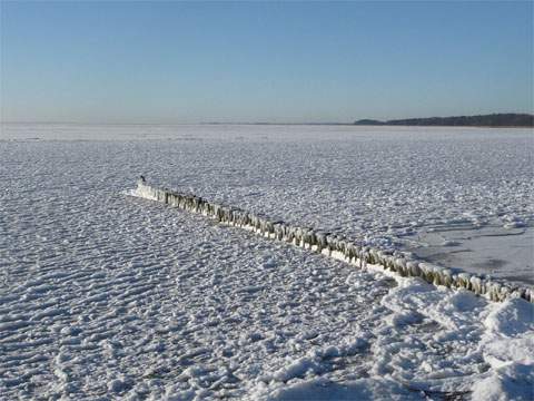 Eis, soweit das Auge reicht: Das Oderhaff im Winter.