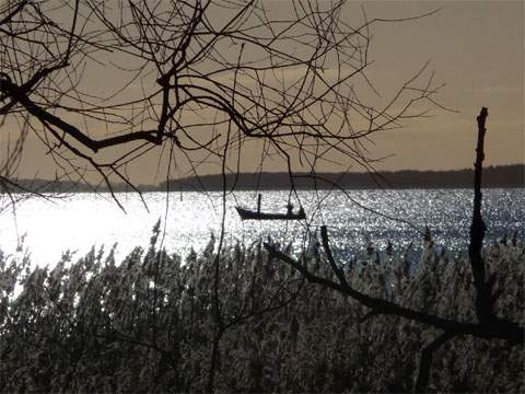 Achterwasser an der Usedomer Halbinsel Gnitz: Fischerboot in der Sonne.